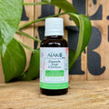 Recharge - Semis, bouture et enracinement - 30mL Demain Verte
