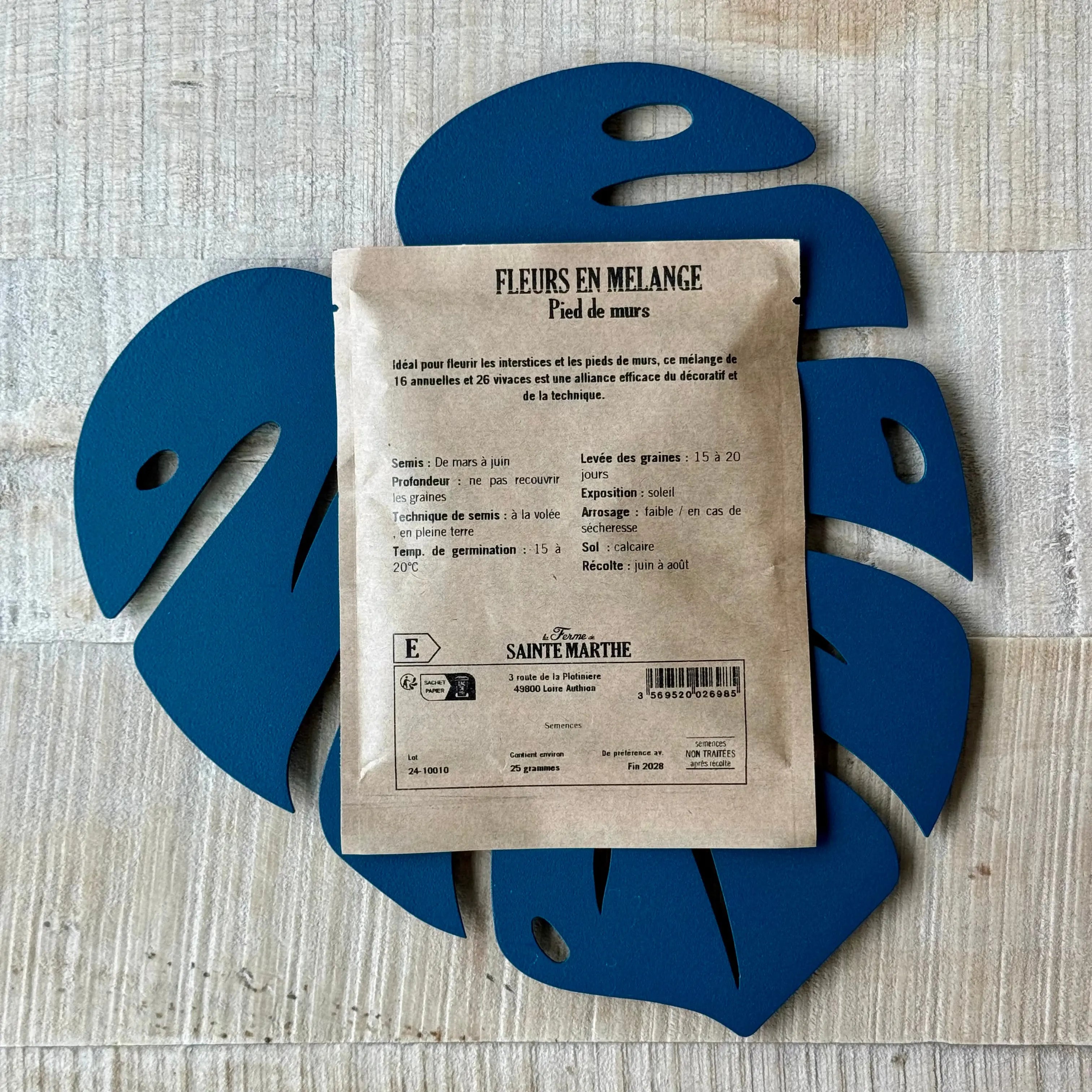 Mélange fleuri - Pied de mur - 25g Demain Verte