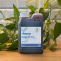 Engrais Bio - Nutrition naturelle pour plantes d'extérieur - 1L Demain Verte