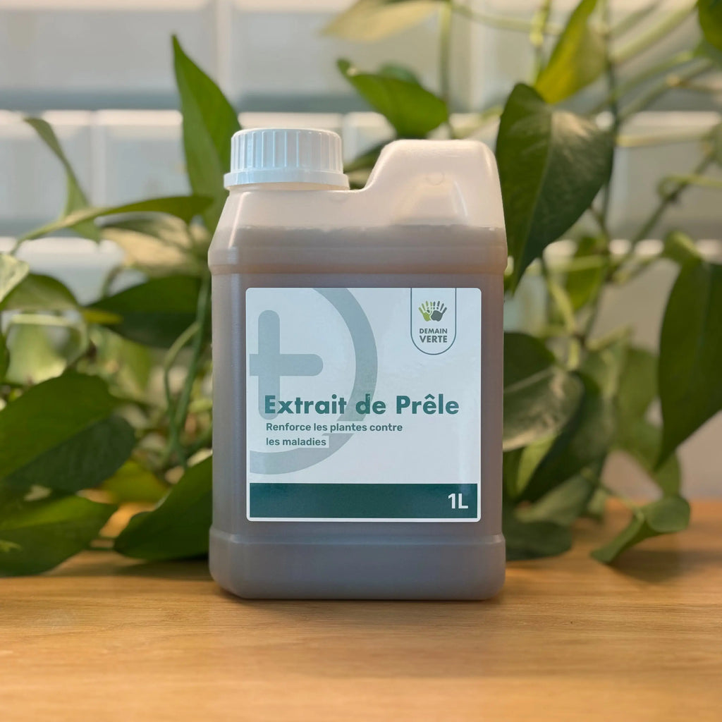 Purin de Prêle - Renfort naturel pour la protection des plantes - 1L demainverte
