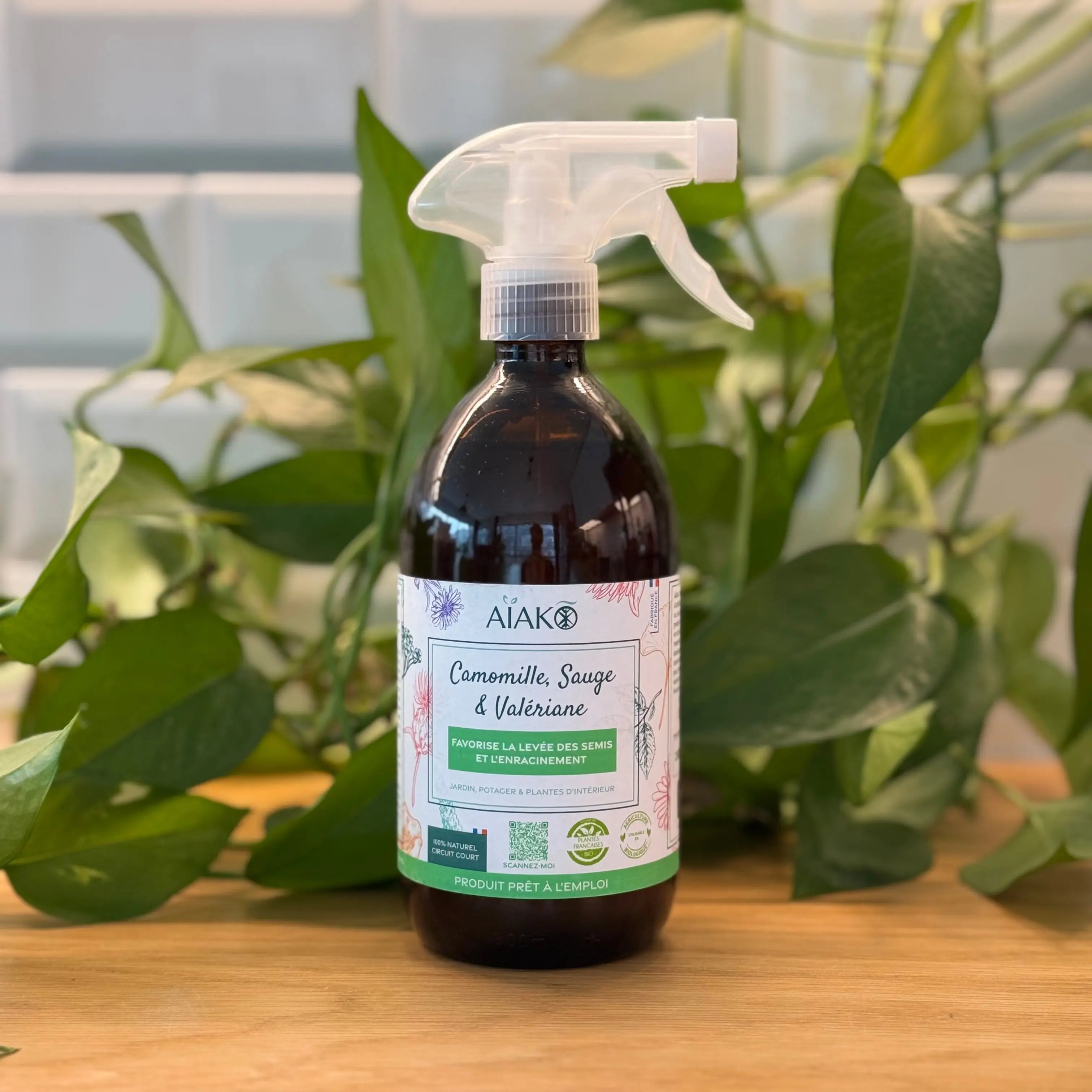 Spray - Semis, bouture et enracinement - 500 mL Demain Verte