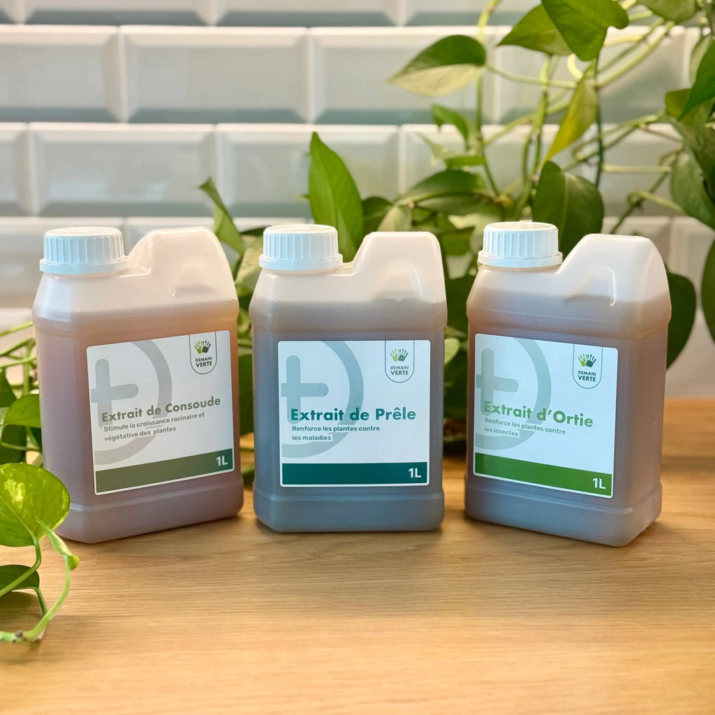 Purin de Prêle - Renfort naturel pour la protection des plantes - 1L demainverte