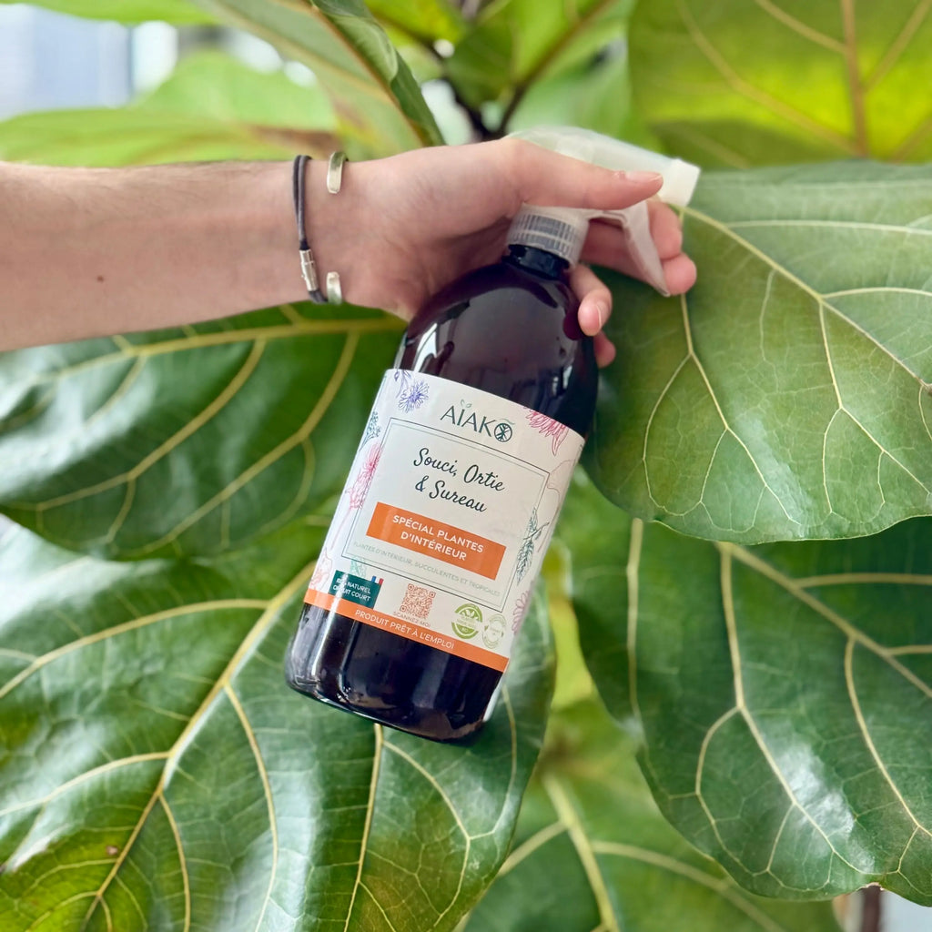 Spray - Plantes d'intérieur - 1L Demain Verte