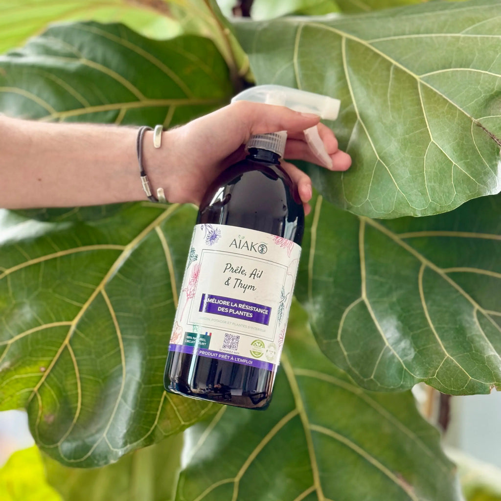 Spray - Améliore la résistance des plantes - 1L Demain Verte