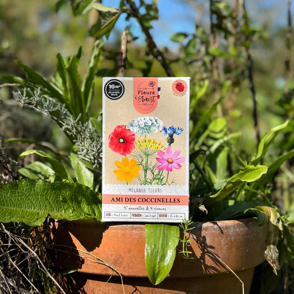 Mélange fleuri - Ami des coccinelles - 60g Demain Verte