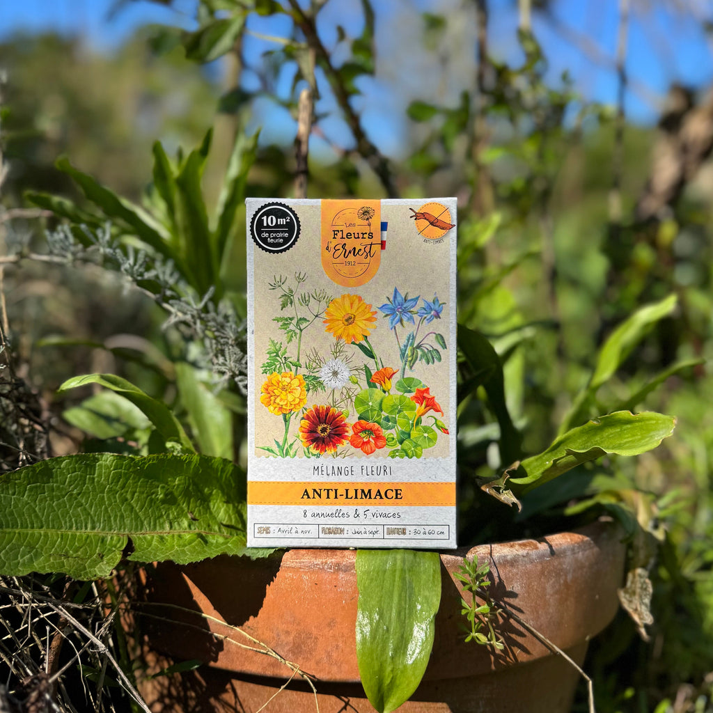 Mélange fleuri - Anti-Limace - 60g Demain Verte