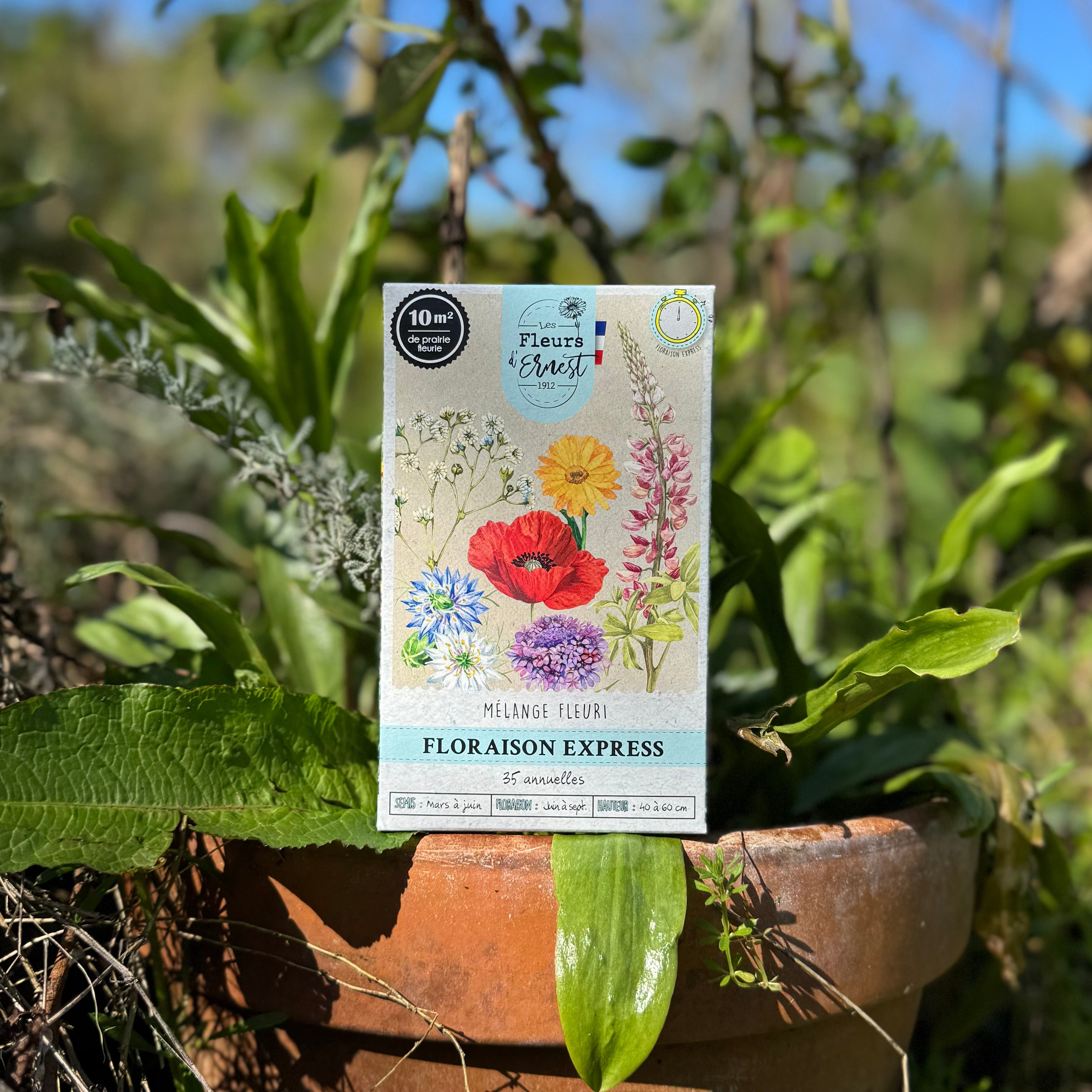 Mélange fleuri - Floraison express - 60g Demain Verte