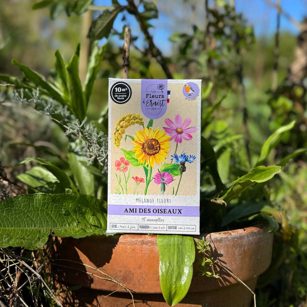 Mélange fleuri - Ami des oiseaux - 60g Demain Verte