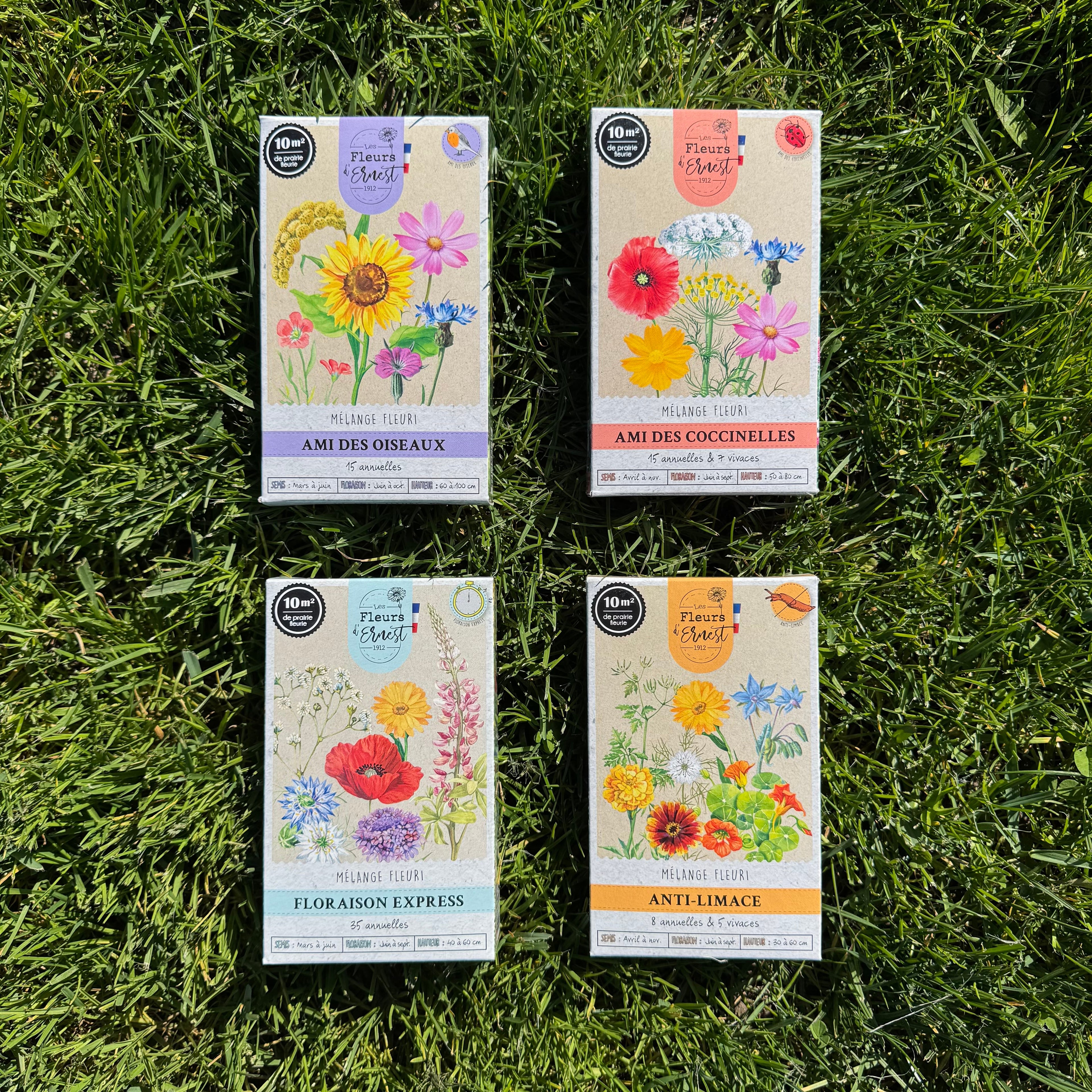 Mélange fleuri - Floraison express - 60g Demain Verte