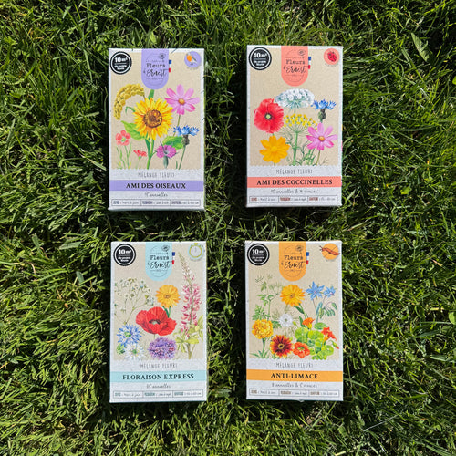 Mélange fleuri - Floraison express - 60g Demain Verte